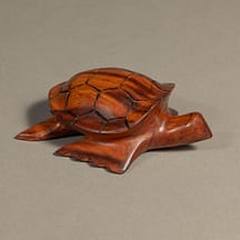 225 - Sea Turtle Medium