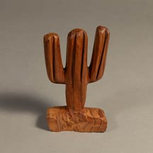 256 - Cactus Medium