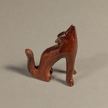 200 - Coyote Mini