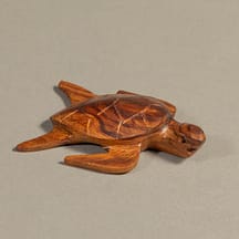 200 - Sea Turtle Mini