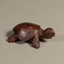 201 - Land Turtle Mini