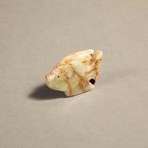 507 - Onyx Fish