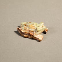 508 - Onyx Frog