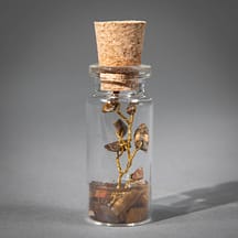 96421 - Tigers Eye Glass Wishing Bottle
